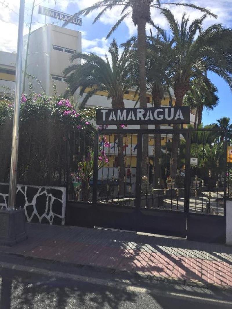 Apartamentos Tamaragua Playa del Ingles  Dış mekan fotoğraf